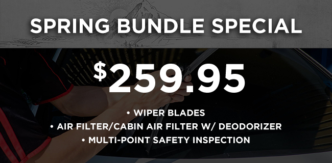 Speing Bundle Special