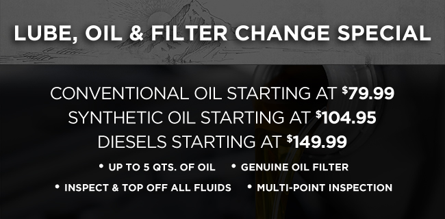 Lube, oil and filter change Special
