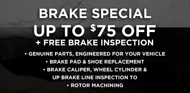 Brake special