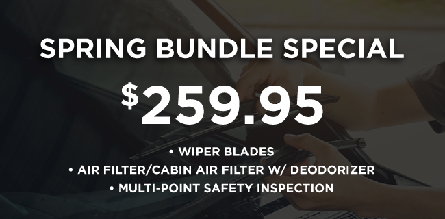 Speing Bundle Special