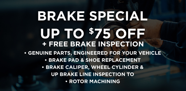 Brake special