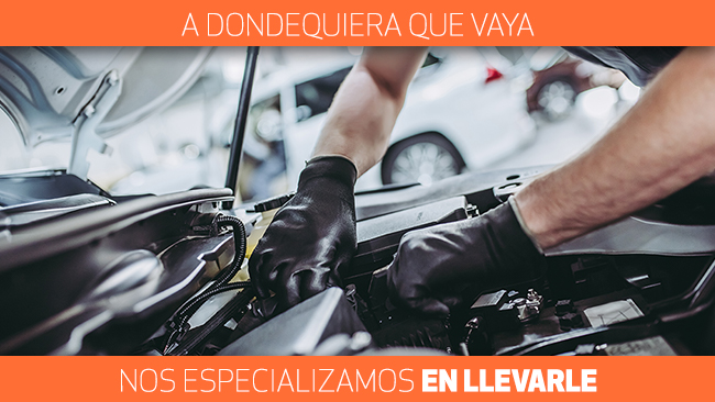 a dondequiera que vaya