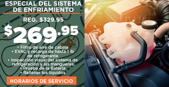 especial del sistema