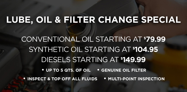 Lube, oil and filter change Special