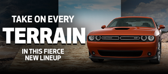Take On Every Terrain