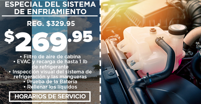 especial del sistema