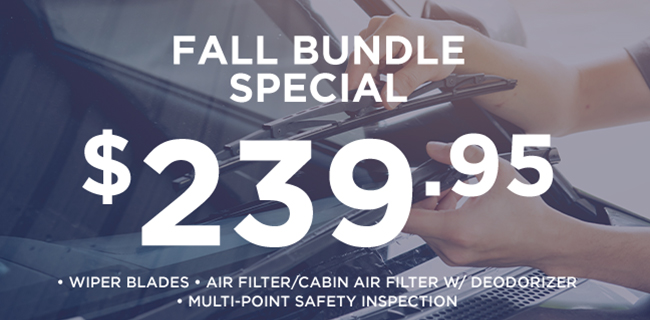 Fall Bundle Special