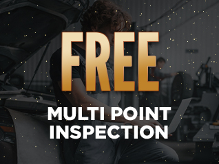 free multi point inspection