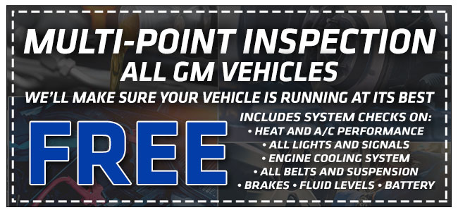 Multi-point Inspection, all GM Vehicles