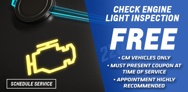 Check Engine Light Inspection