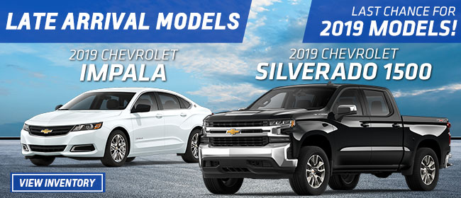 Late Arrival 2019 Models!