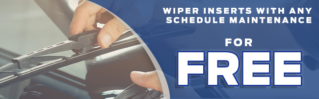 FREE Wiper Inserts With Schedule Maintenance