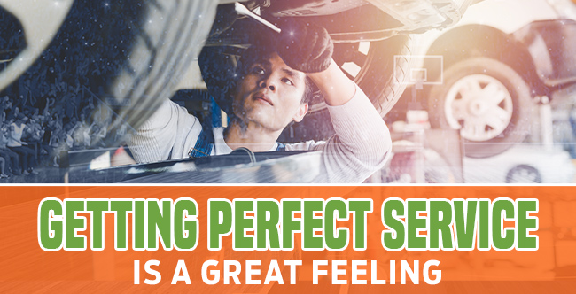 Getting Perfect Service…