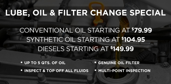 Lube, oil and filter change special