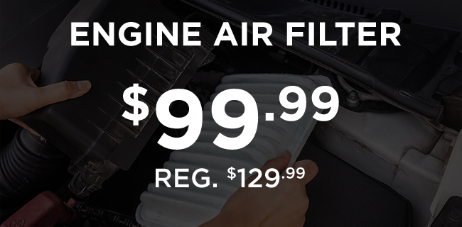 Engine air filter