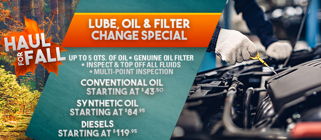 Lube, Oil & Filter change special
