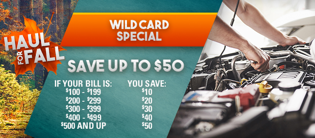 Wildcard Special