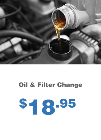 Oil & Filter Change