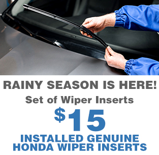 Set of Wiper Inserts $15 Service Special