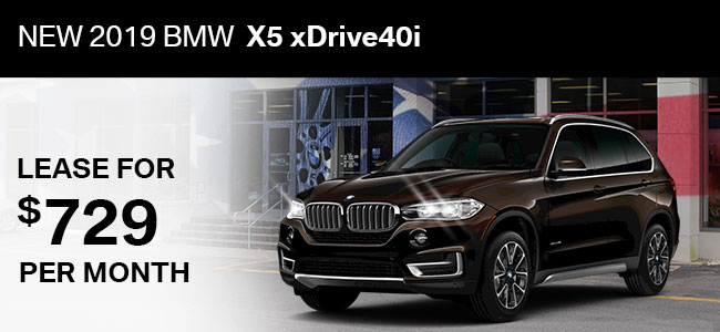 New 2019 BMW X5 xDrive40i