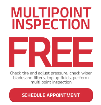 Multipoint Inspection FREE