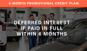 6-month promotional credit plan