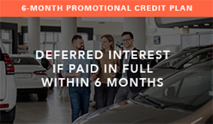 6-month promotional credit plan