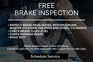 free brake inspection