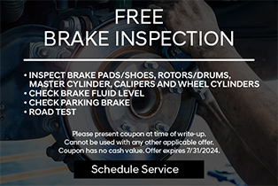 free brake inspection