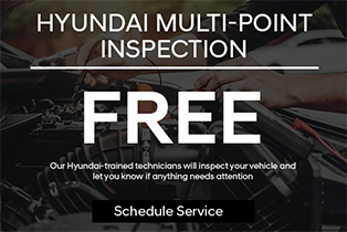 Hyundai multi-point inspection - free