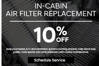 cabin air filter