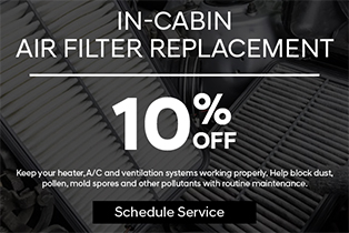 cabin air filter