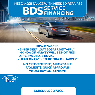 Need Assistance with needed repairs BDS service Financing