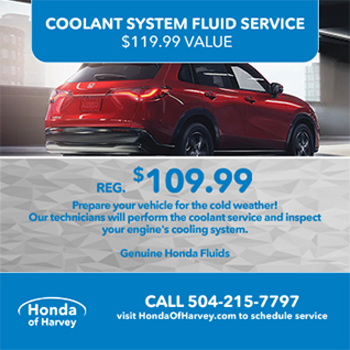 Coolant System fluid service