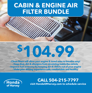 cabin and engine air filter