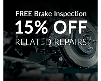 free brake inspection