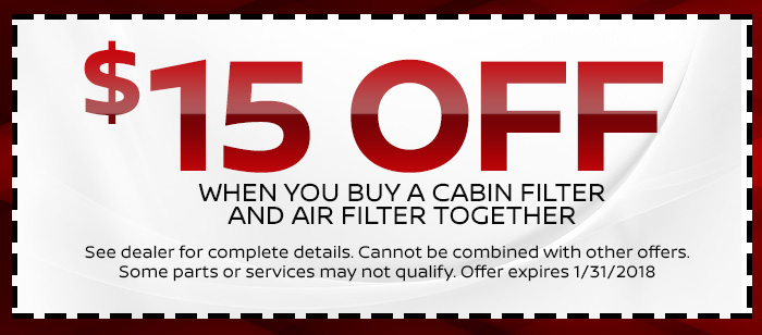 Cabin Filter and Air Filter