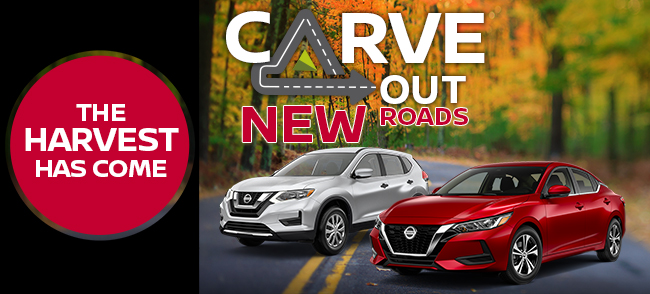 Carve Out New Roads And Feast On Fantastic Savings!