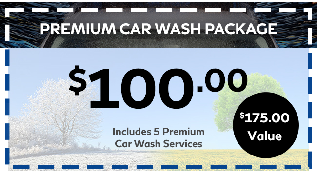 Premium Car wash Package