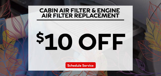 Cabin air filter and engine air filter replacement