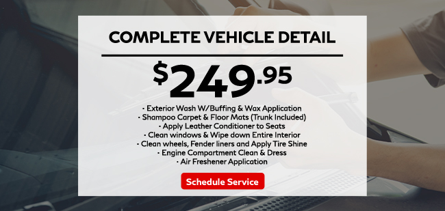 Complete vehicle detailing at special price