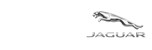 Jaguar of Ocala