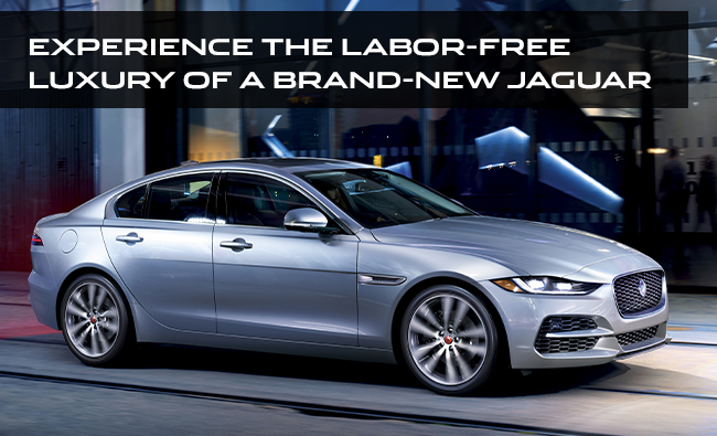 Experience The Labor-Free Luxury