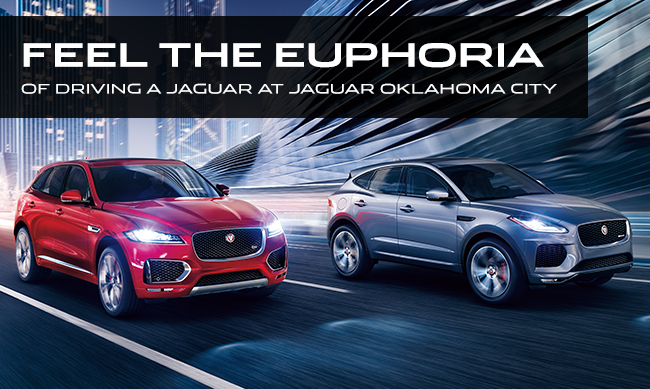 Feel The Euphoria of Driving A Jaguar