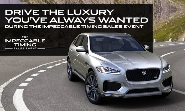 Drive The Luxury You’ve Always Wanted