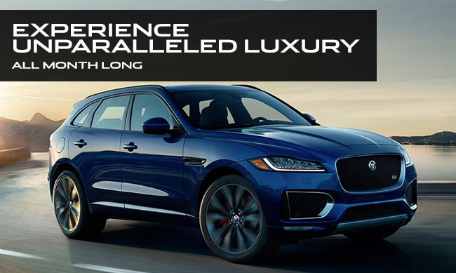 Experience Unparalleled Luxury