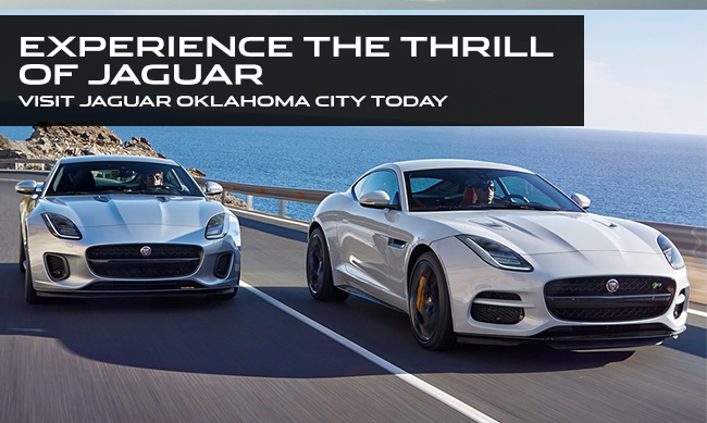 Experience The Thrill Of Jaguar