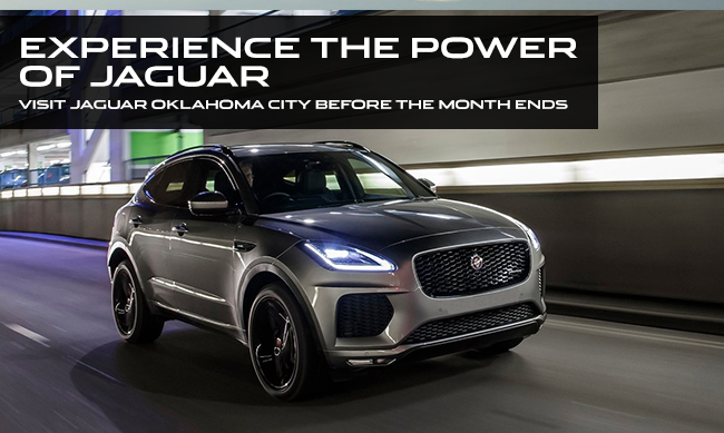 Experience The Power Of Jaguar