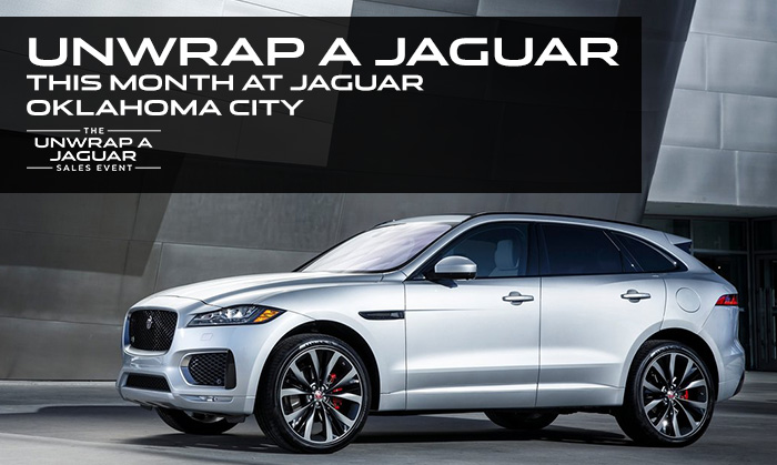 Unwrap A Jaguar 