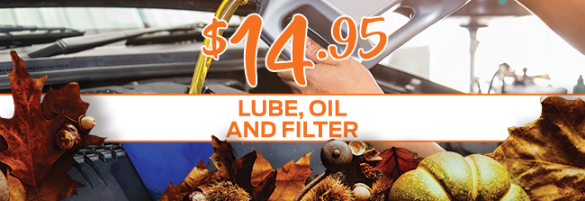 $14.95 Lube, Oil, And Filter
